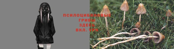 apvp Зеленокумск
