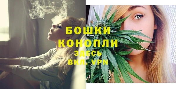 молекула духа Заволжск